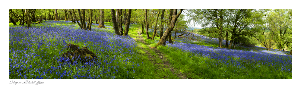images from wales - Ian Nicholson Photography - Builth Wells